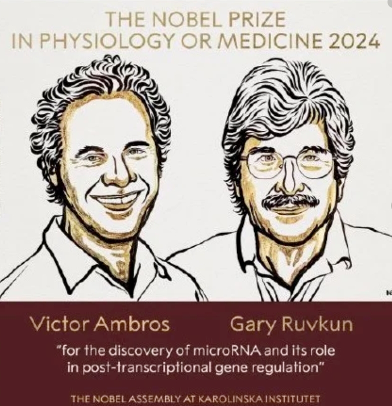 2024诺贝尔生理学或医学奖揭晓啦！
获奖者是美国科学家维克托·安布罗斯（Vic