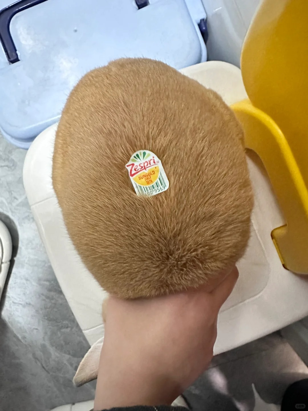 1千一个的进口猕猴桃，我是不是被骗了？
#侏儒兔
老板说是美国进口的