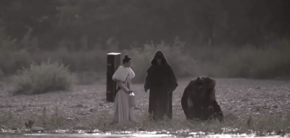 《庆余年2》大揭秘：叶青眉假死玩转庆帝，她的真实身份与目的究竟是什么？

《庆余