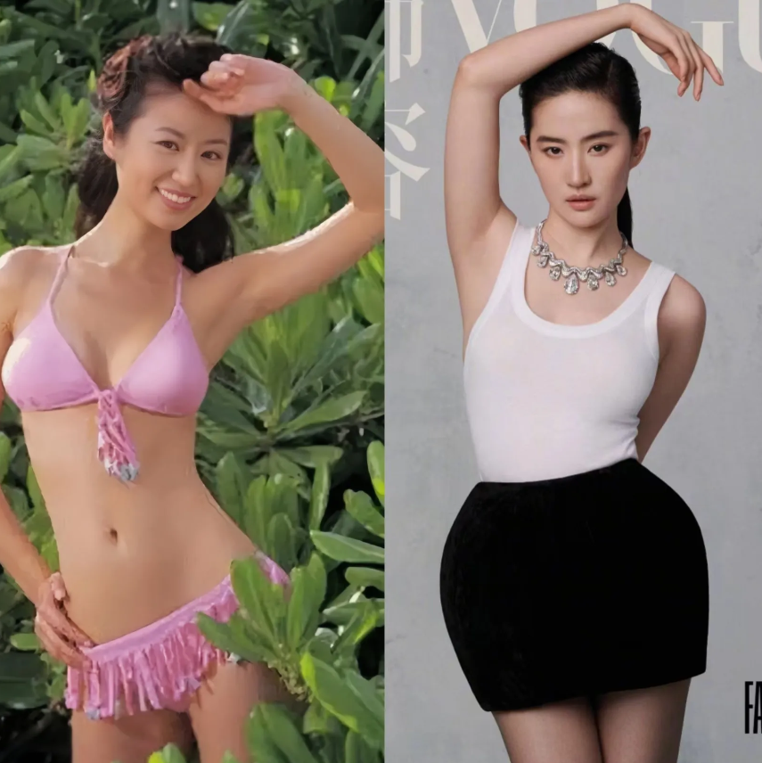 林心如和刘亦菲的对比照，更明显的看出来了，林心如的脸型偏胖，圆脸，很饱满，但身材