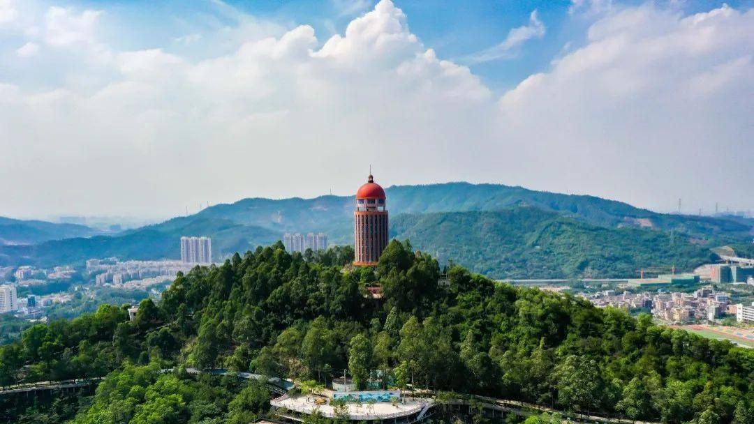 首届观音山杯文创大赛：以青春力量传承传统文化之美