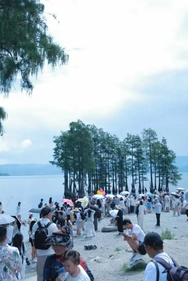 国庆节别盲目冲云南啊，真的会崩溃。
去丽江了，我就是那个大冤种，去丽江可以，但是