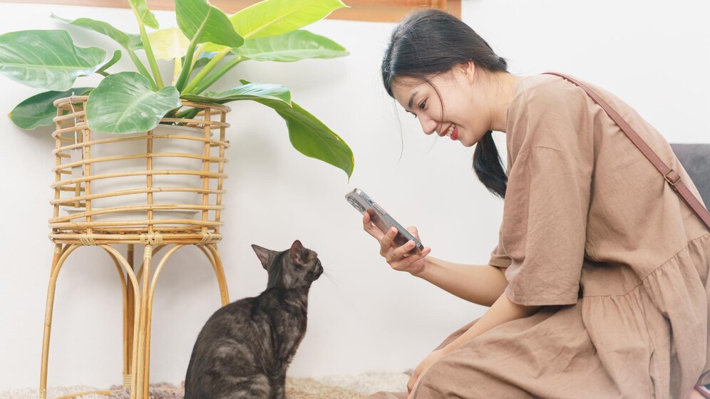 不知你是否也经历过这样的“猫式折磨”：每天看着猫咪对猫粮嗤之以鼻，小嘴巴一张一合