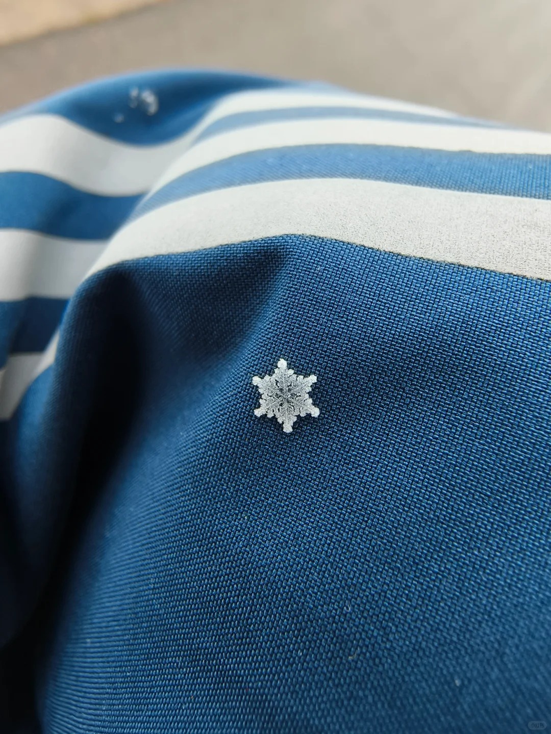 姑姑，姑姑，快点来拍，雪花停住了，
和小侄子刚出家门，发现下雪了，一片雪花刚好落