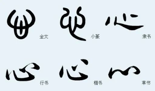 五脏六腑里, 为什么只有心字不带月字旁?