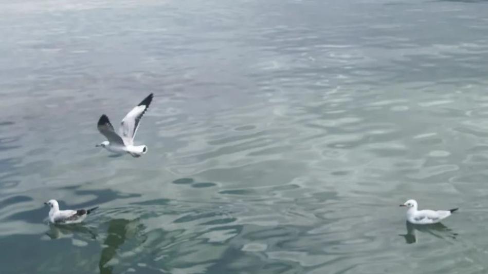 讨厌一个人，最艺术的解决方式