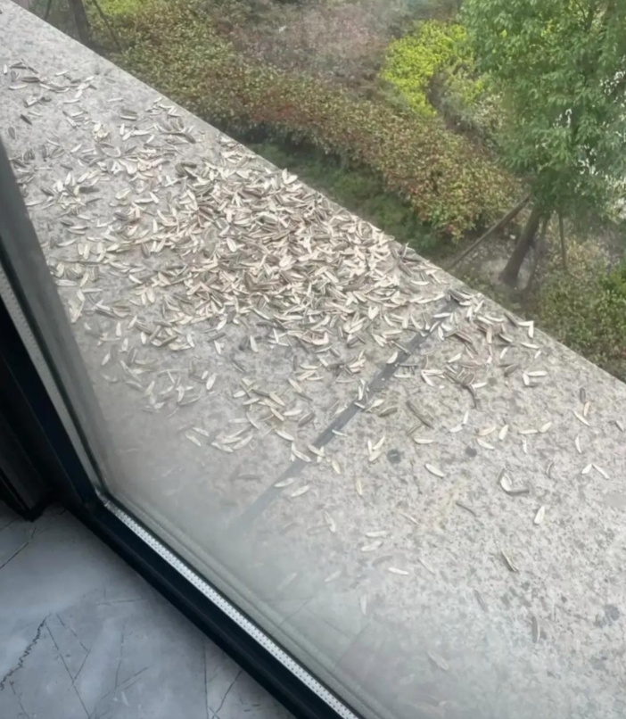 我怀疑，我楼上的邻居想恶心我