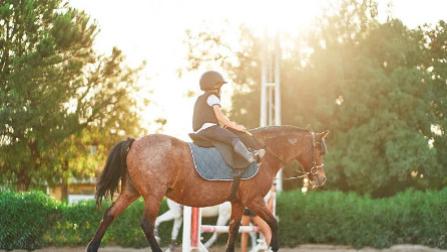别再忽视孩子的感受！现在就开始与他们一起探索这个世界！