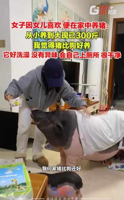 如今，越来越多人热衷于养宠物，猫狗等传统选择见怪不怪，然而广西南宁一位女士的“另