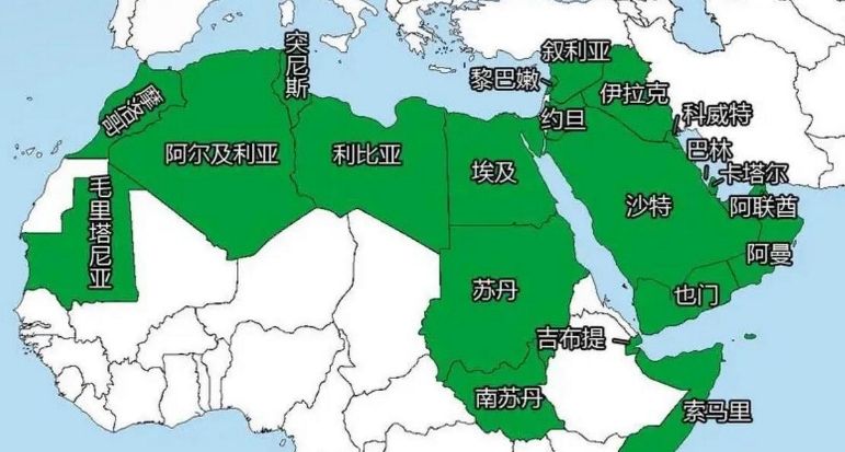 以色列没有打醒阿拉伯人，却打醒了中国人！

从去年阿拉伯世界的表现看，他们并没有