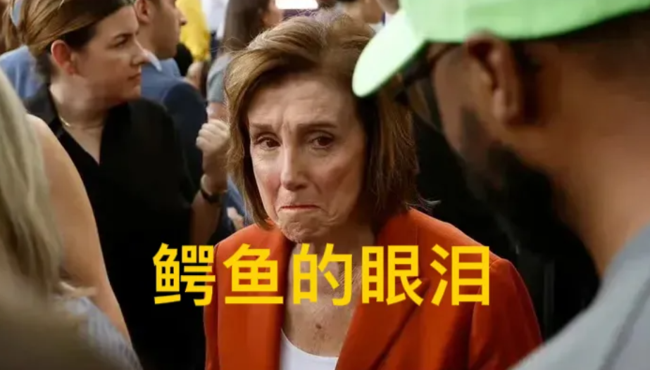 两年前访台的佩洛西，大选之后哭了，原因有6点：

第一，鳄鱼的眼泪，两人一直意见