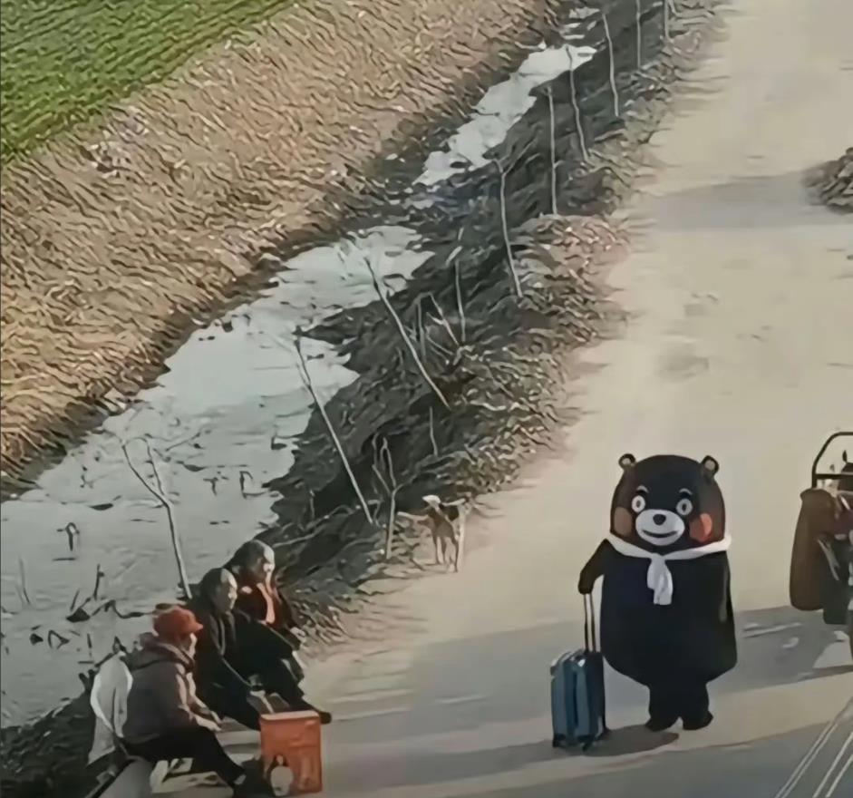 这届年轻人回村过年