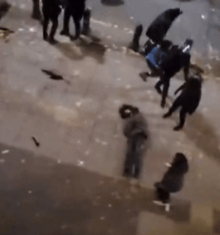 格鲁吉亚首都一名抗议的女性被防暴警察暴力执法