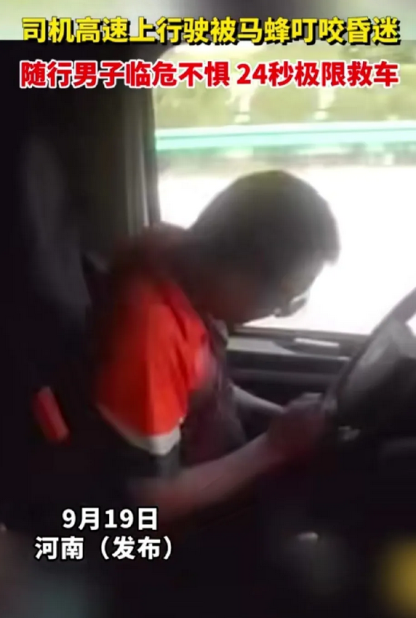 飞速行驶的高速路上，一位大巴车司机被马蜂叮咬，司机摇摇晃晃昏昏欲睡，最后竟双手脱