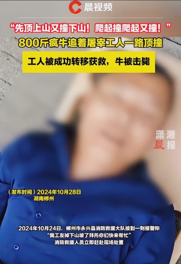 湖南郴州，一屠宰场的工人发现看守的牛不见后，就想上山寻找，谁料，在山脚下的牛突然