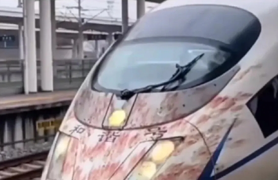 又是涨知识的一天
1、高铁为什么不能撞鸟？
答案：高铁很怕撞鸟。一是因为高铁速度