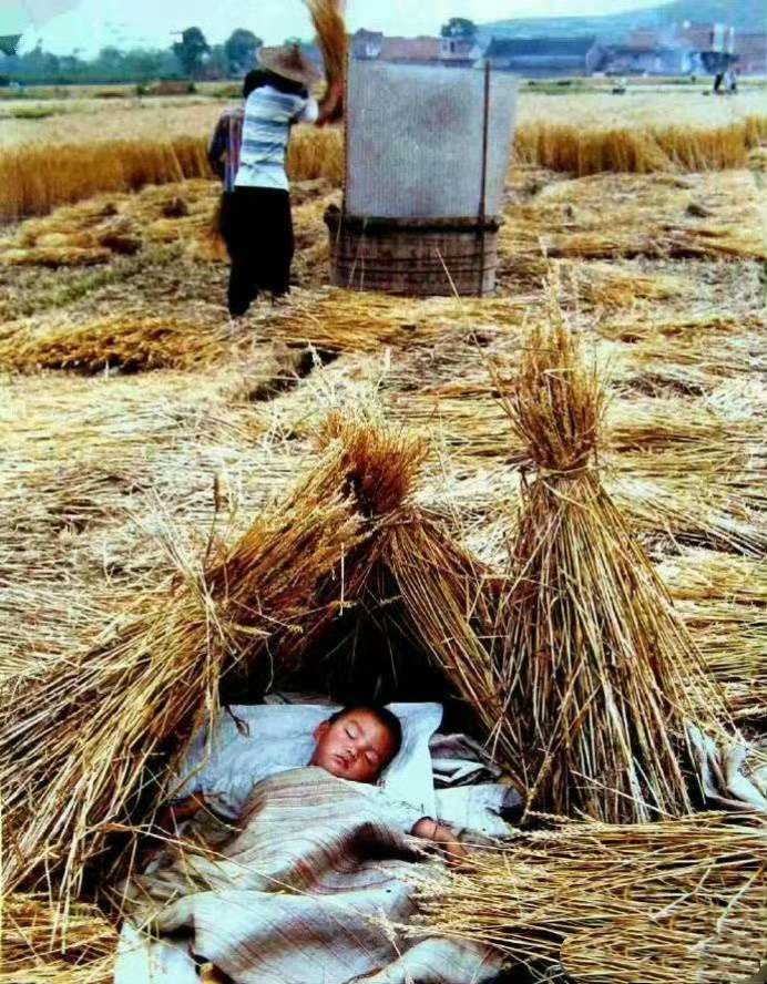 你也是这样长大的吗？