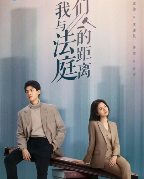 好剧推荐《我们与法庭的距离》