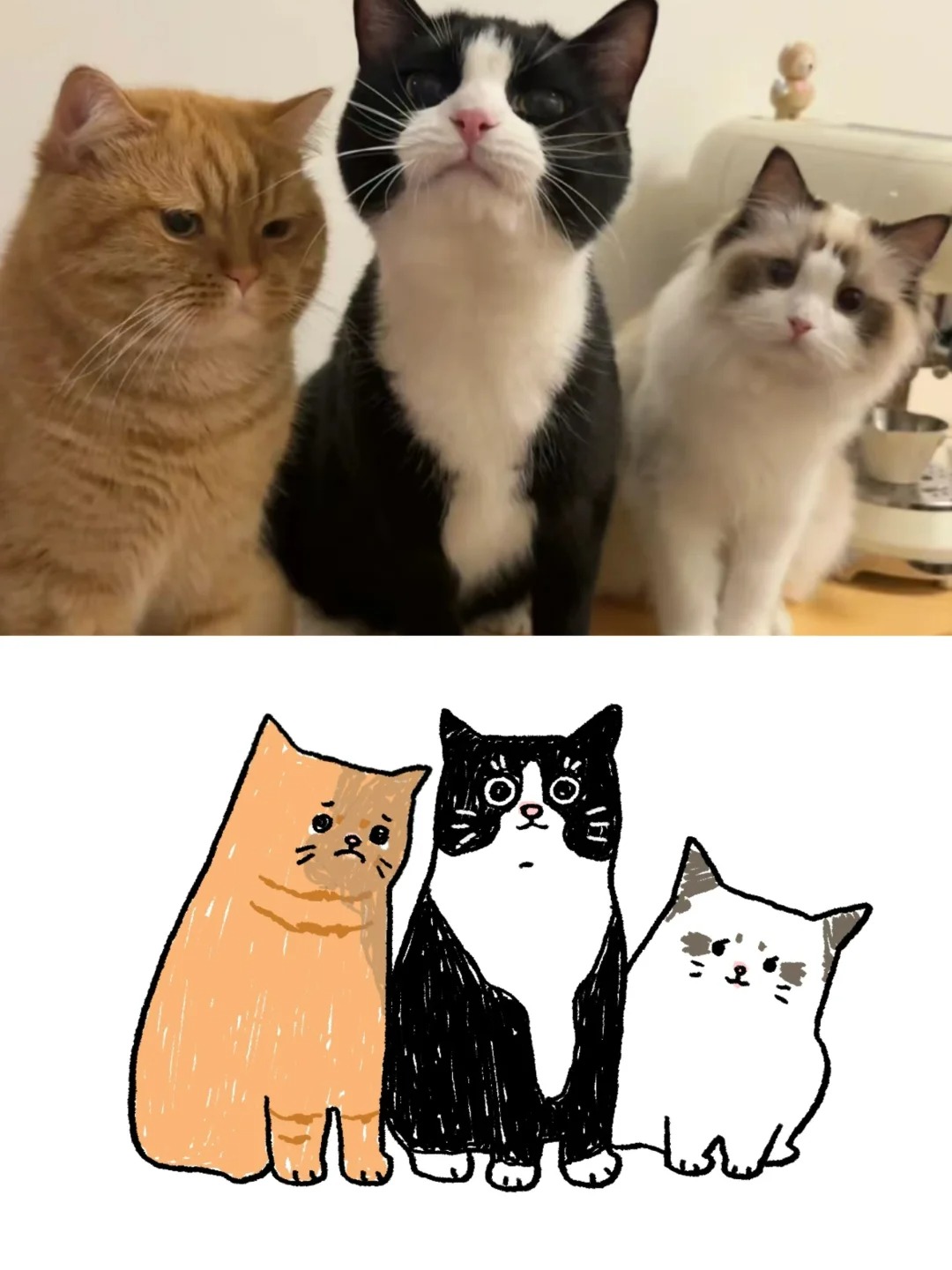 显眼包-被揍-小哭包
显眼包拍照全过程📷
边画边哈哈哈哈哈，原图