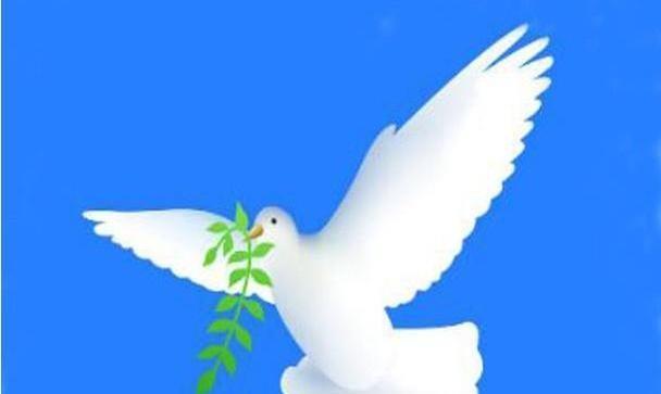 中国在俄乌冲突里没给俄罗斯提供军事援助，这背后的考量可太关键了。那问题来了，有些