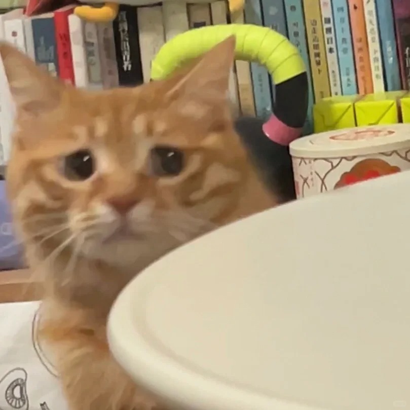 不知道的还以为我欺负你
其实是你欺负我
昨天晚上对我又哈哈又呜呜

气得我没收了