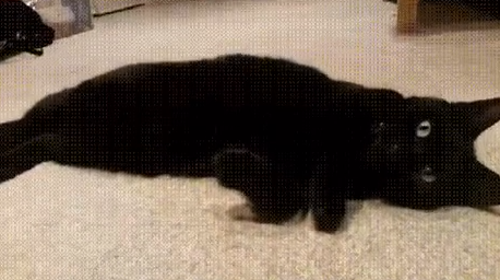 太形象了！！