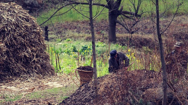 陪女儿去看一次生病的准亲家，回来后，一家人陷入痛苦和纠结中