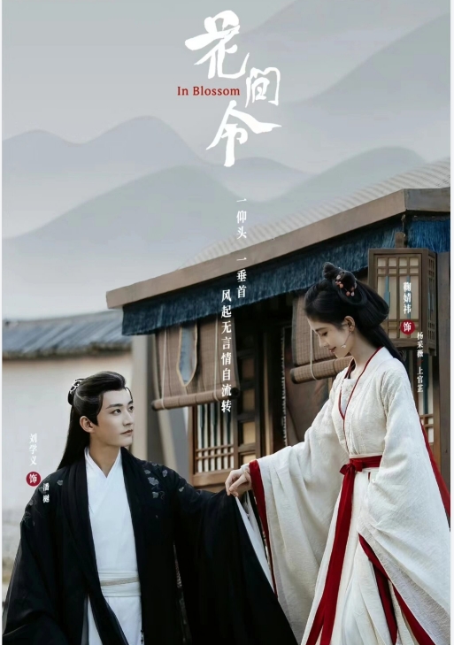 好剧推荐《花间令》