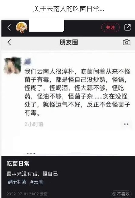云南人的吃菌日常