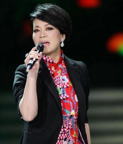 毛阿敏：从音乐之路到慈善事业的绽放