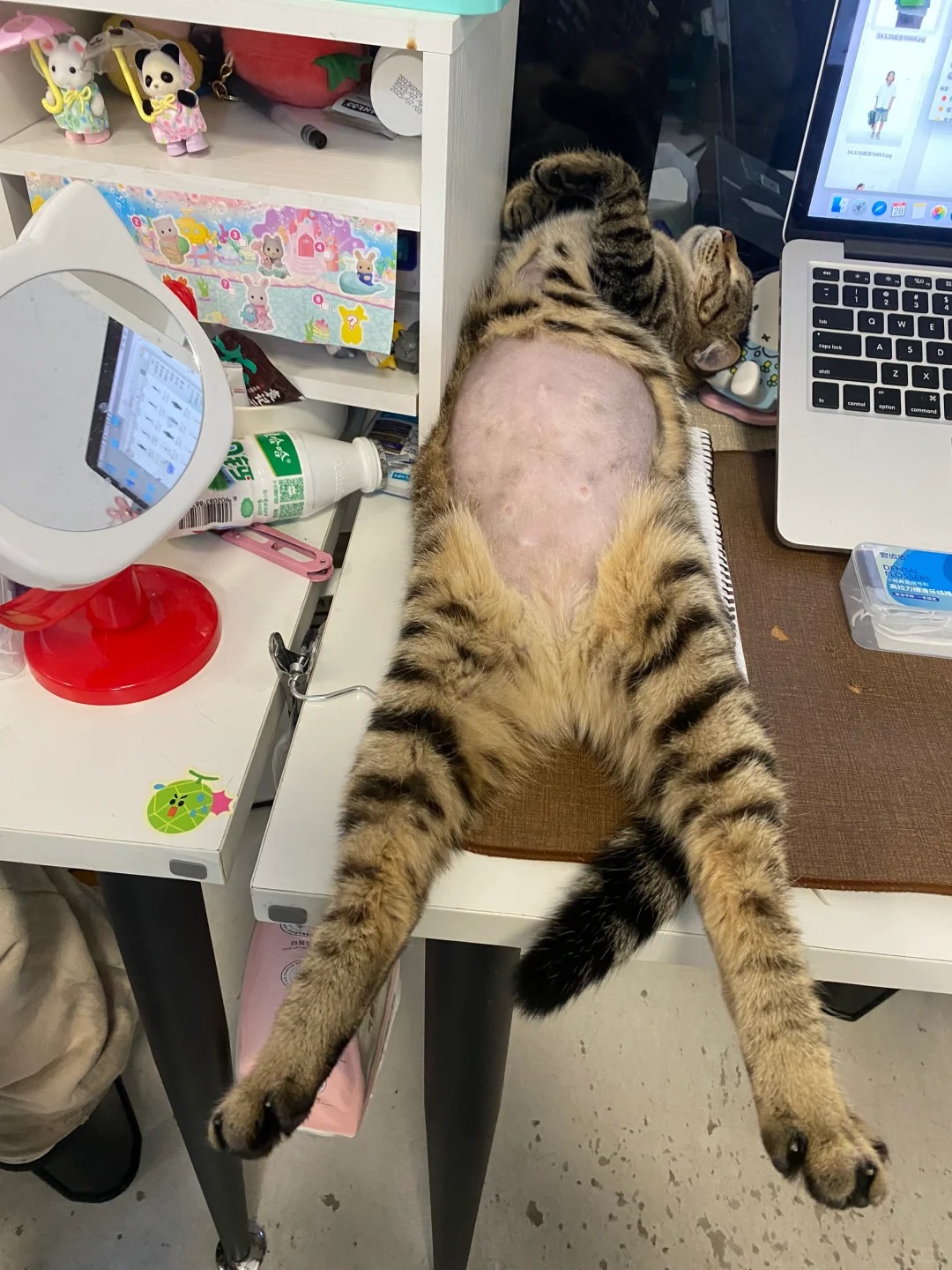 同事这样睡觉我该叫醒它吗