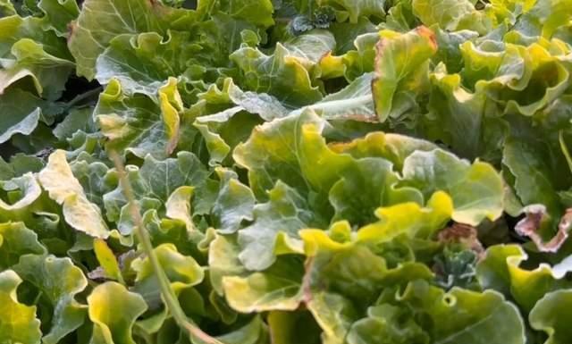 冷冷冷！冰冰冰！家人们，你们冻住了吗？
今天一出门是不是感觉 “画风突变”？没错