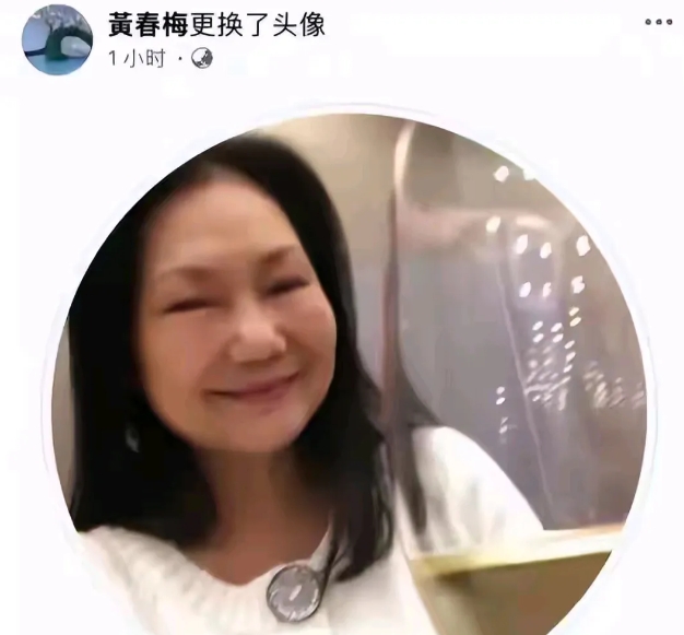 汪家母子这次很明智，学会沉默是金了，虽然S妈总是时不时的跑出来宣战，可是这边已经