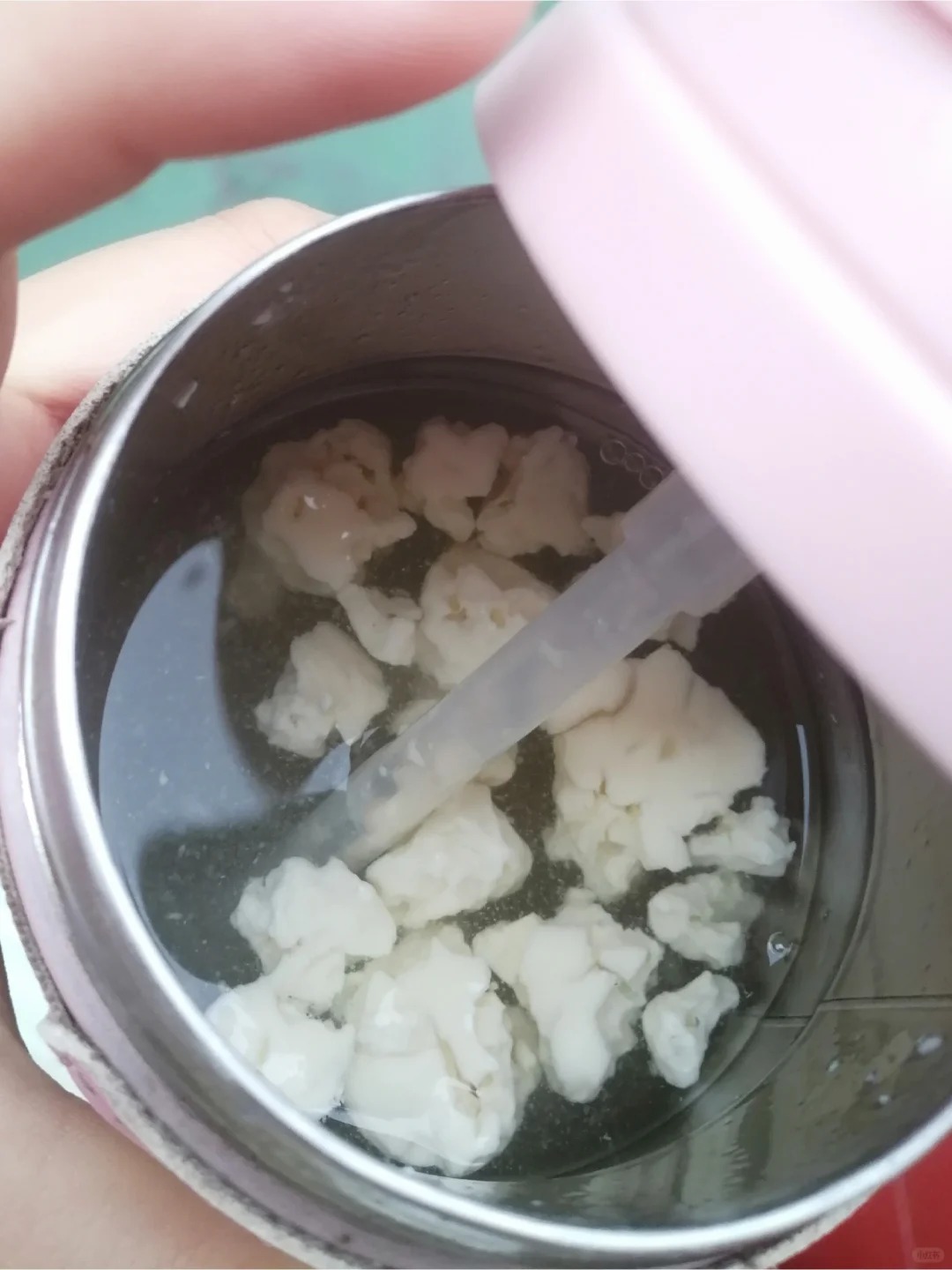 放了一个多月的寒假，忘记有水在保温杯里了，回来杯里已经长了像豆腐花一样的东西，浏