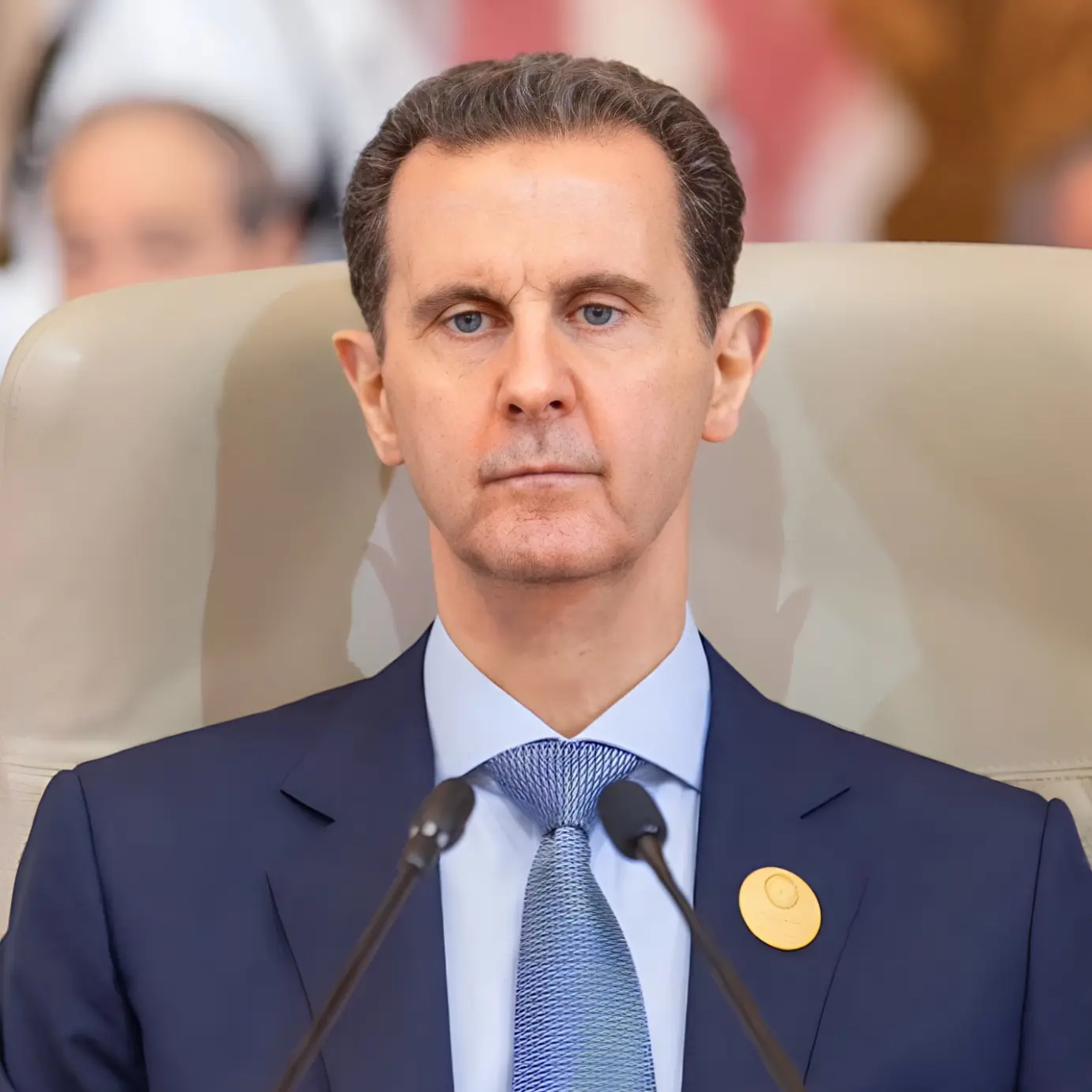 沙特阿拉伯和埃及表示支持叙利亚打击恐怖主义。
