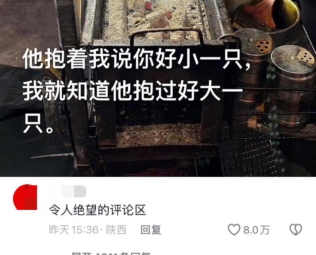 哈哈哈，一条活路都不给的评论区！笑死了！哈哈哈哈哈