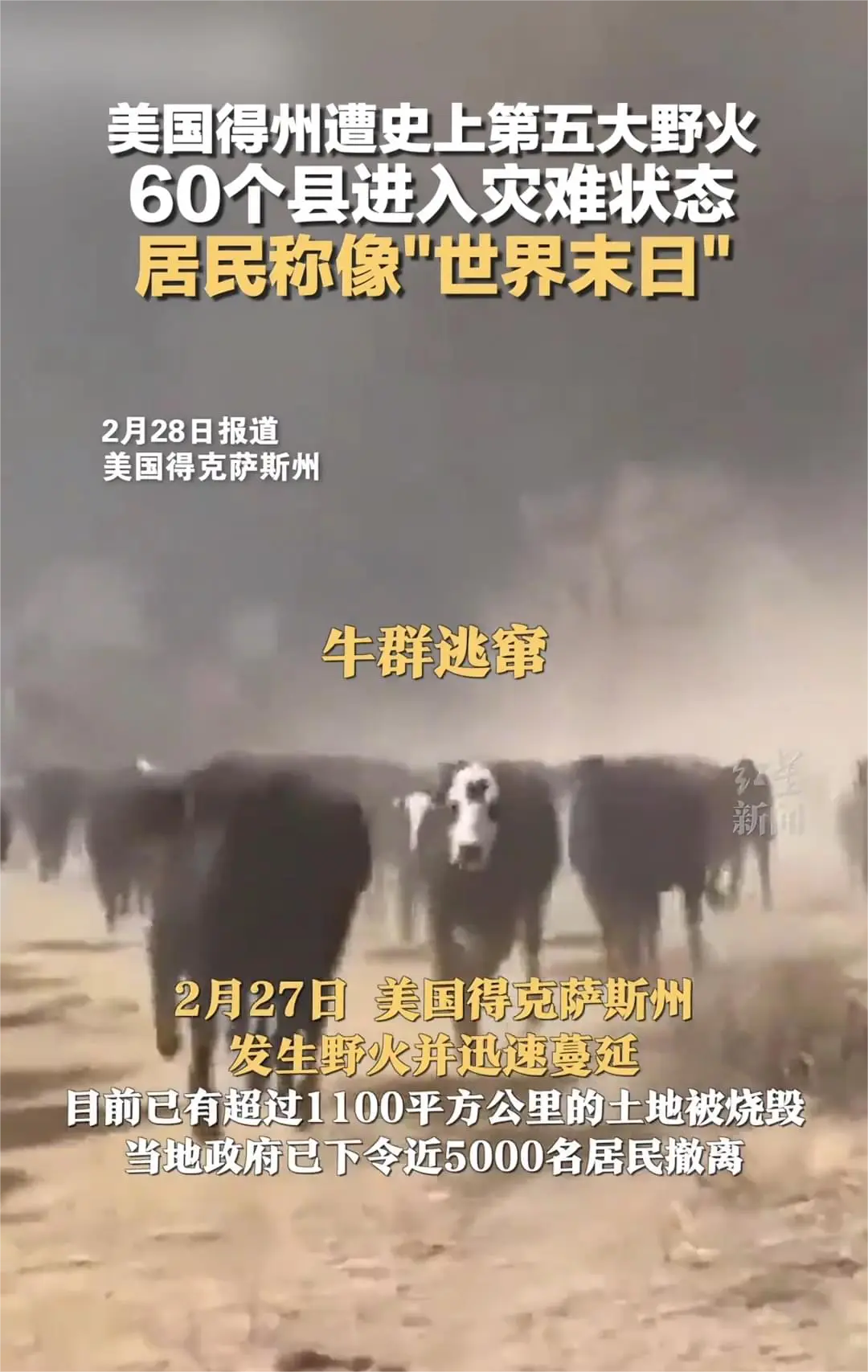 苦的是万物生灵