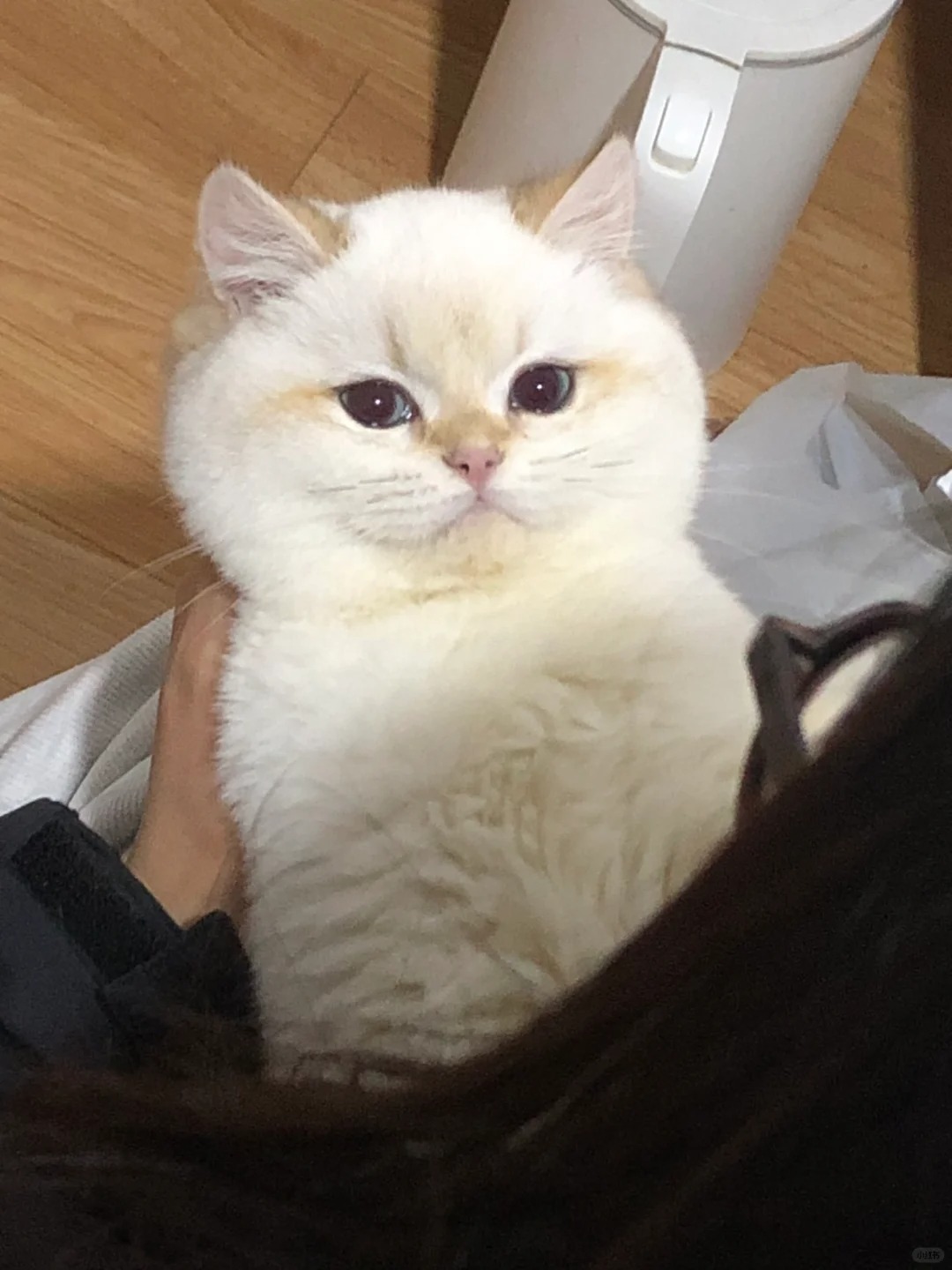 看看你们的金点