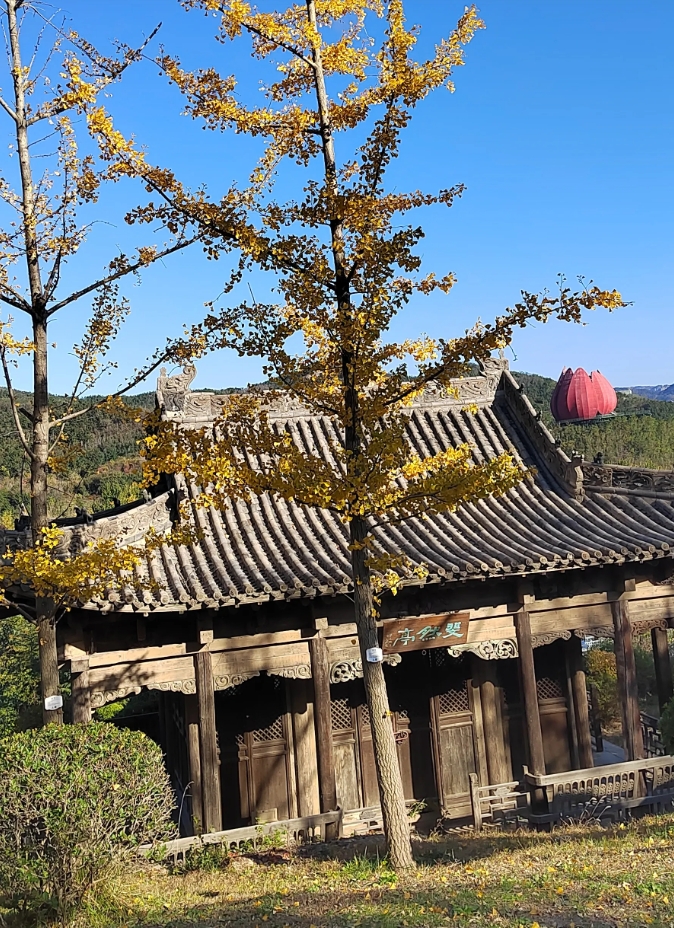 表哥58岁，一辈子没结婚，比他两个弟弟都年轻。弟弟满脸沧桑，他神采奕奕，一个人吃