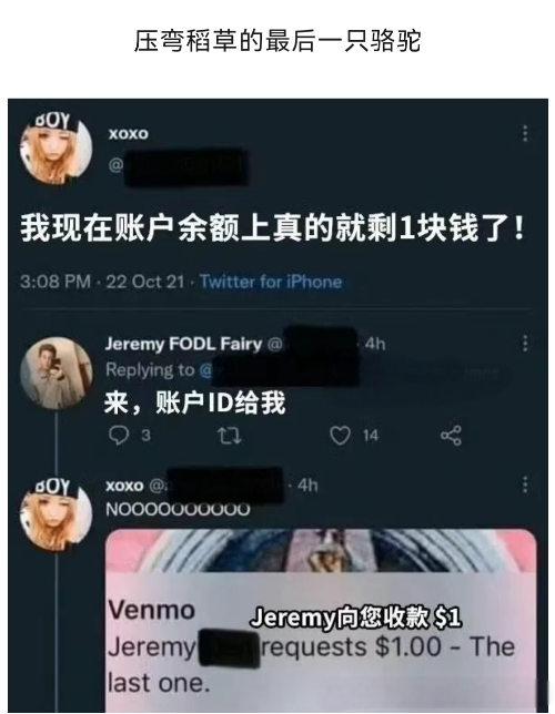 压弯稻草的最后一只骆驼