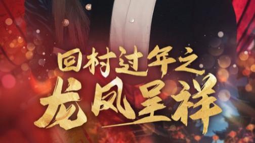 短剧在线观看《回村过年之龙凤呈祥》完整版全集（47集）