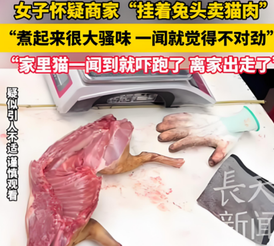 广东，女子买兔肉，做好后吃着味道不对，家里的猫更是吓得四处逃窜、浑身发抖，女子这