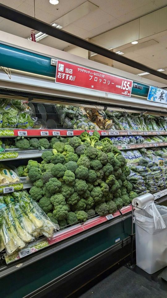 今天进货进多了