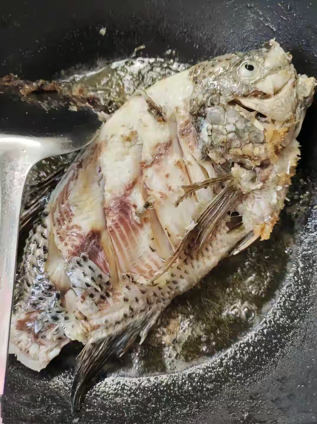 有个事情一直搞不懂，一直以来煎鱼做红烧鱼都会粘锅，我都是严格按照步骤来的，热锅凉