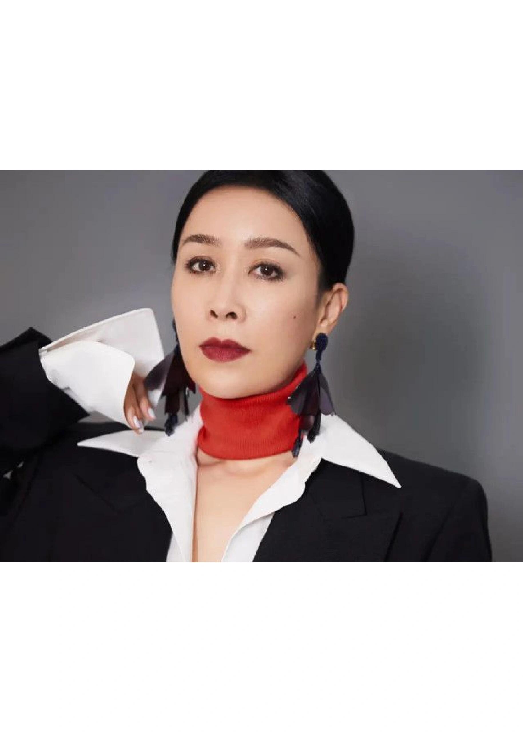 那英：音乐之路的坎坷与辉煌