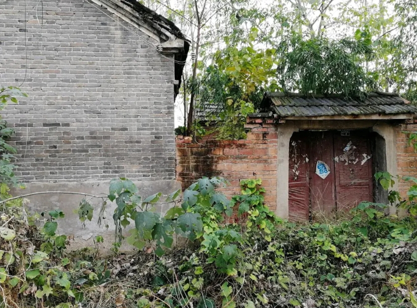 农村宅基地空闲有多严重？座标山东，就拿我们村来说，村里人口560人，共153户，