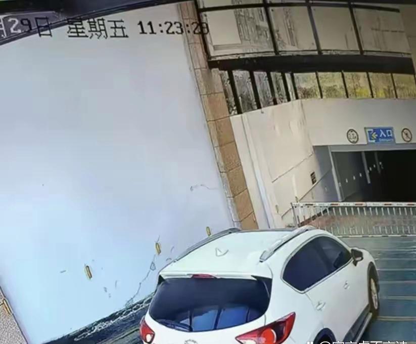2024 年 11 月 29 日，河南信阳商城县发生了一件令人震惊的事。一位网友