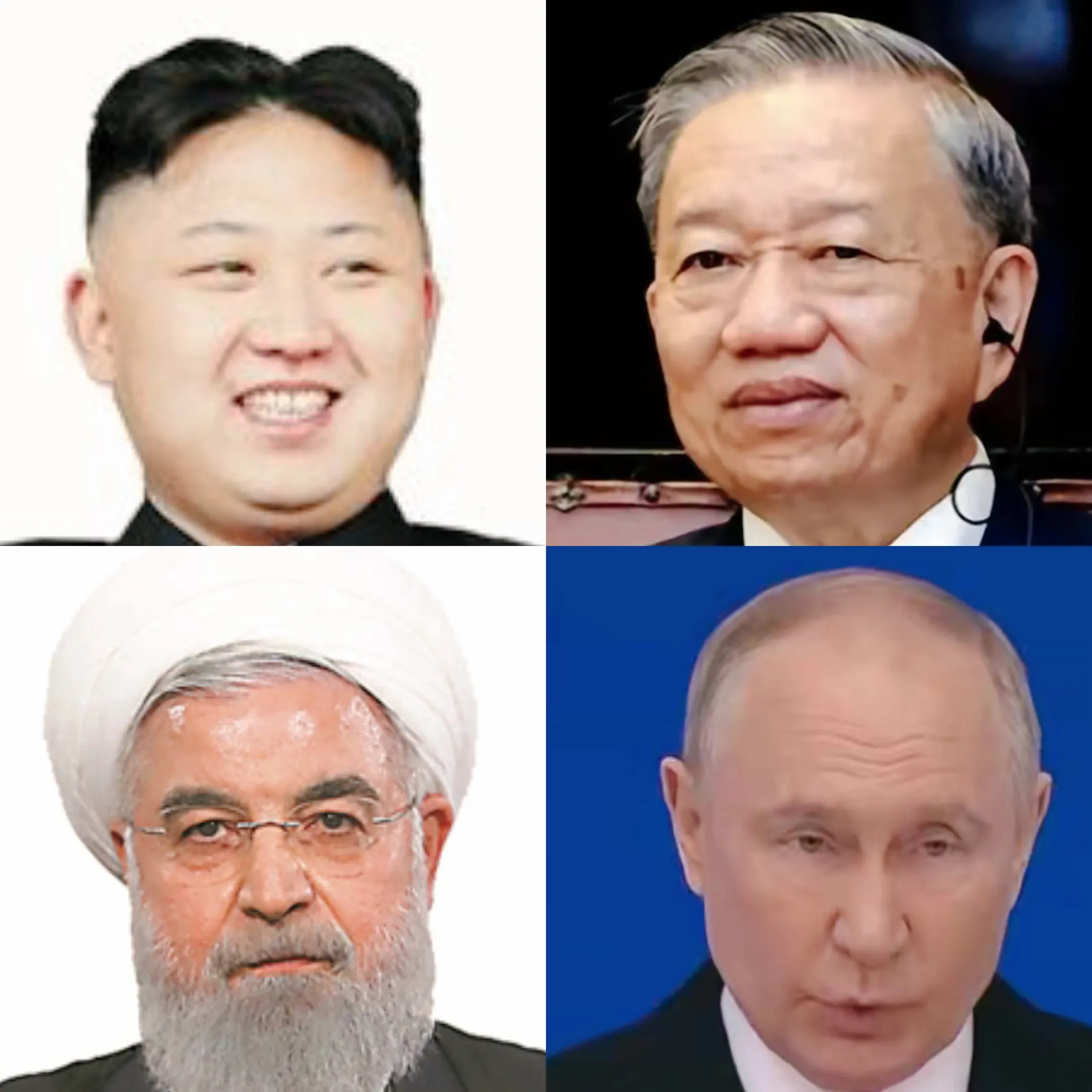 不被西方接纳，却想加入西方的国家