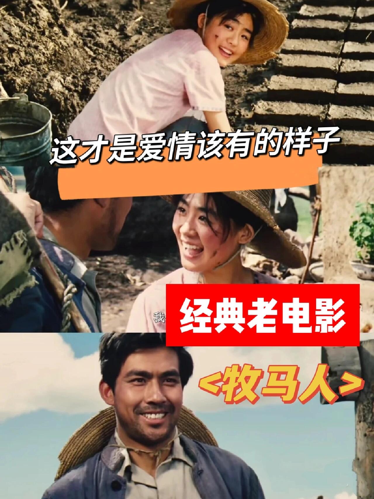 刷新三观！爱情片一定要看《牧马人》
