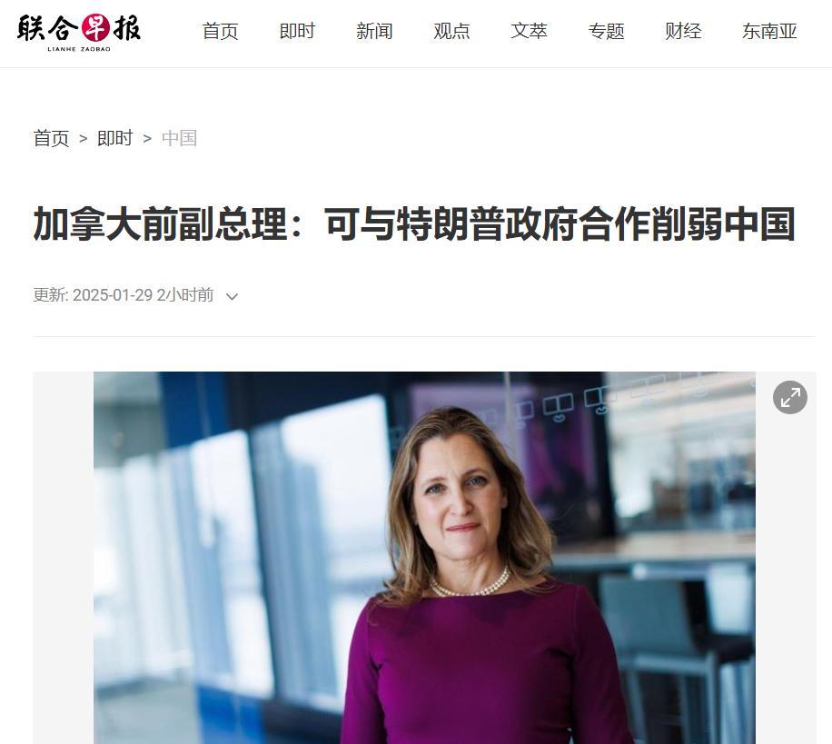 大年初一，加拿大女政客祸水东引“献媚”特朗普！
外媒今日（1月29日）消息，正在